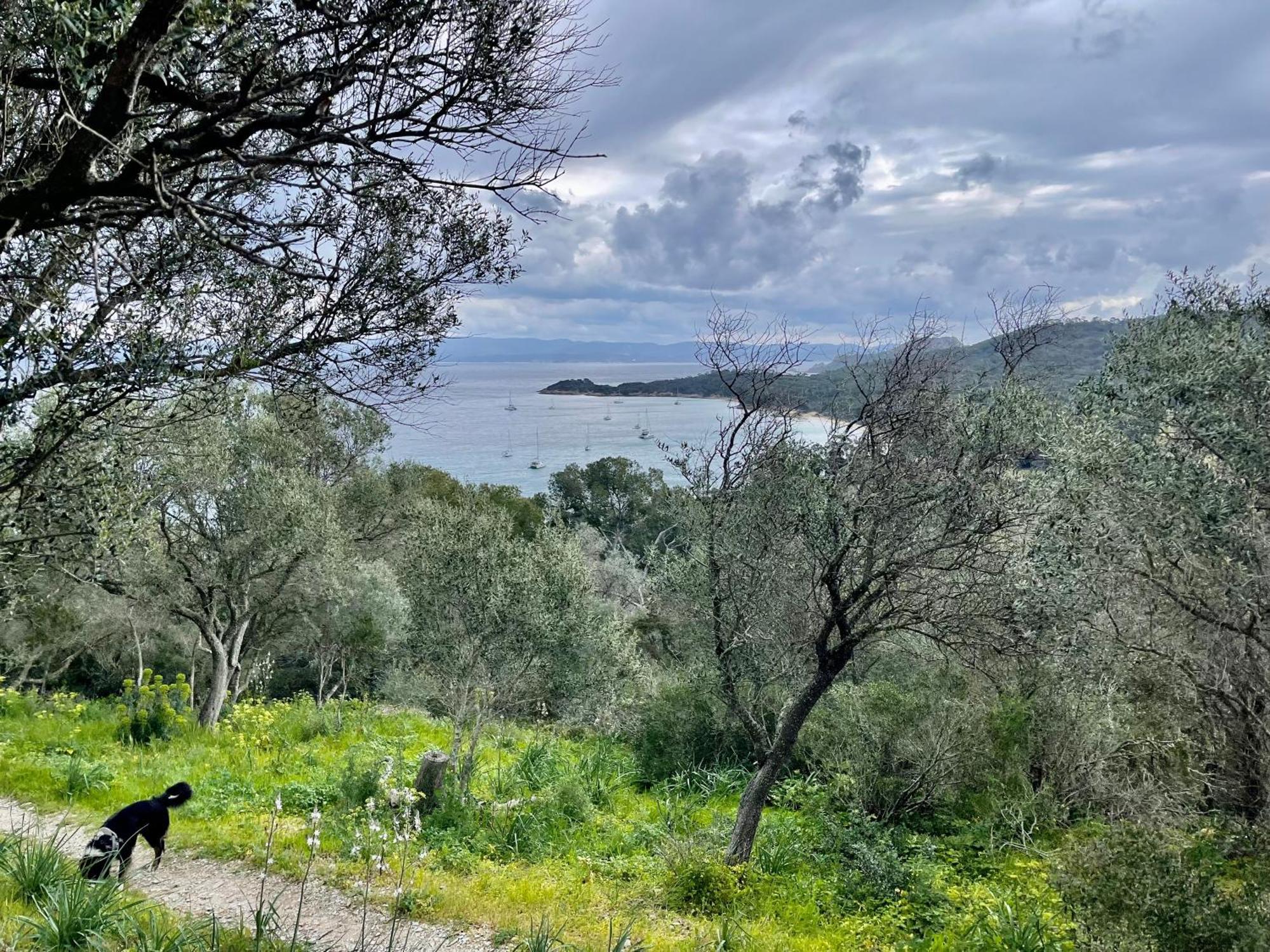 דירות פורקרול Latitudes 43 מראה חיצוני תמונה